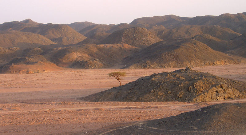 sårbart ørkenlandskap